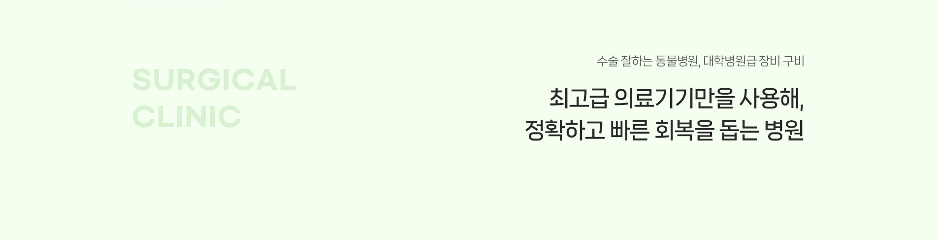 수술 잘하는 동물병원, 대학병원급 장비 구매