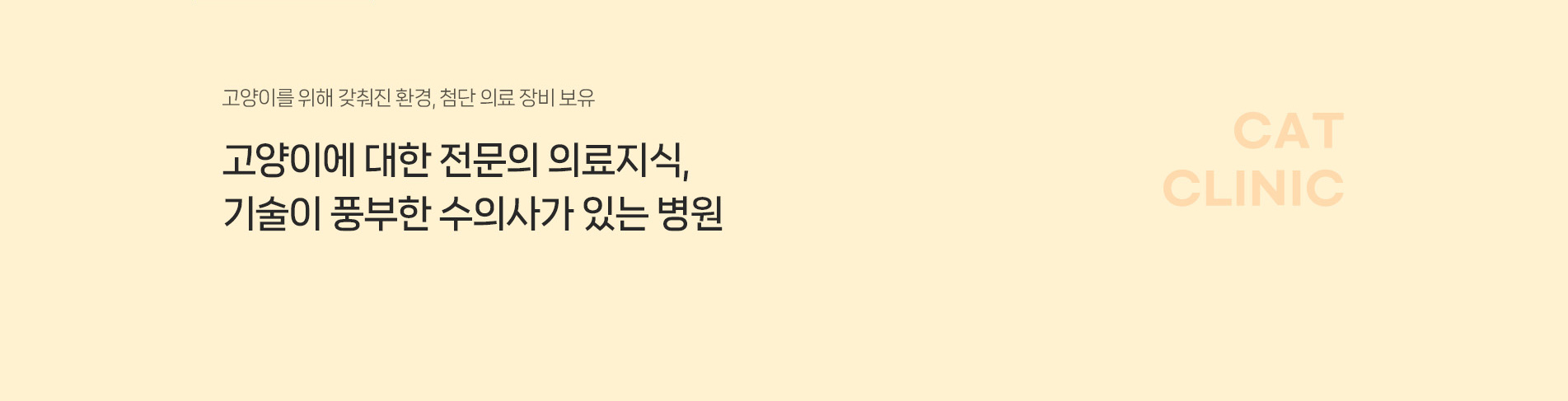 고양이를 위해 갖춰진 환경, 첨단 의료 장비 보유